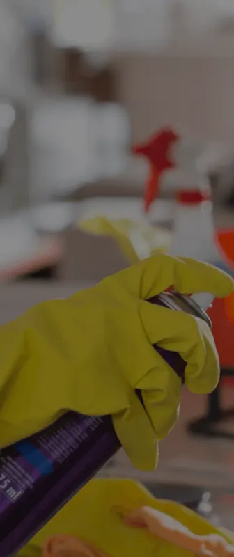 Cleaners Available in Fairview